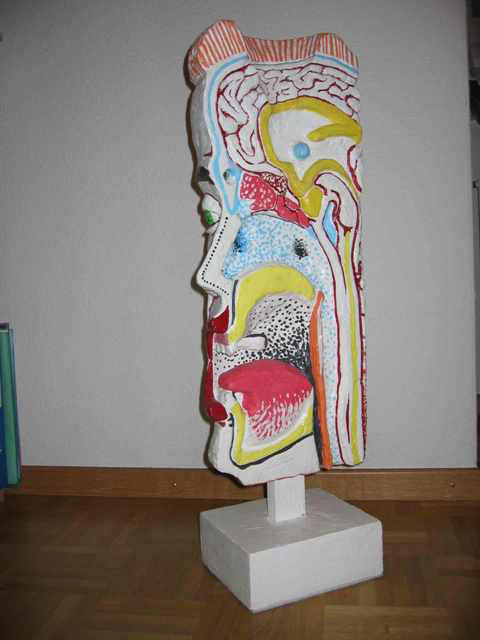 POPSTAR 80cm x 30cm x 20cm